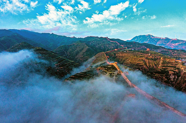 1643010439705092001 (1).jpg