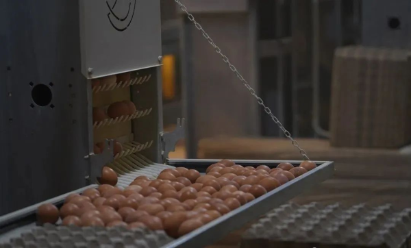 Pianguan Yong'ao Ecological Agriculture Co., Ltd.